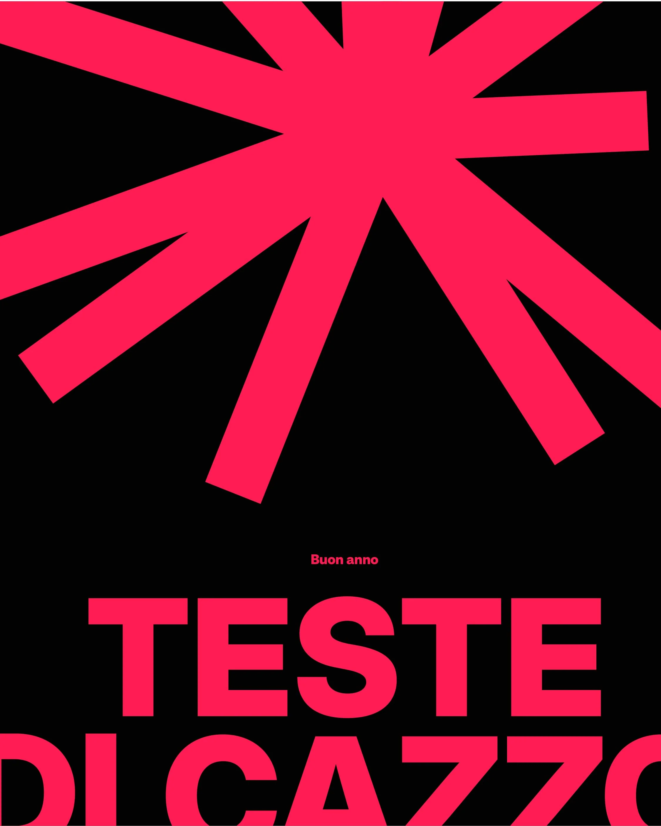 Buon anno teste di cazzo - Image 3