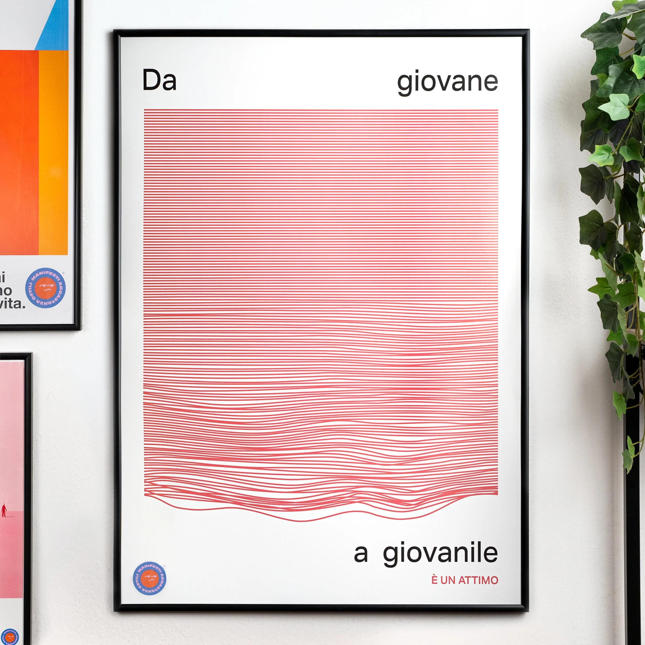 Da giovane a giovanile è un attimo - Image 7
