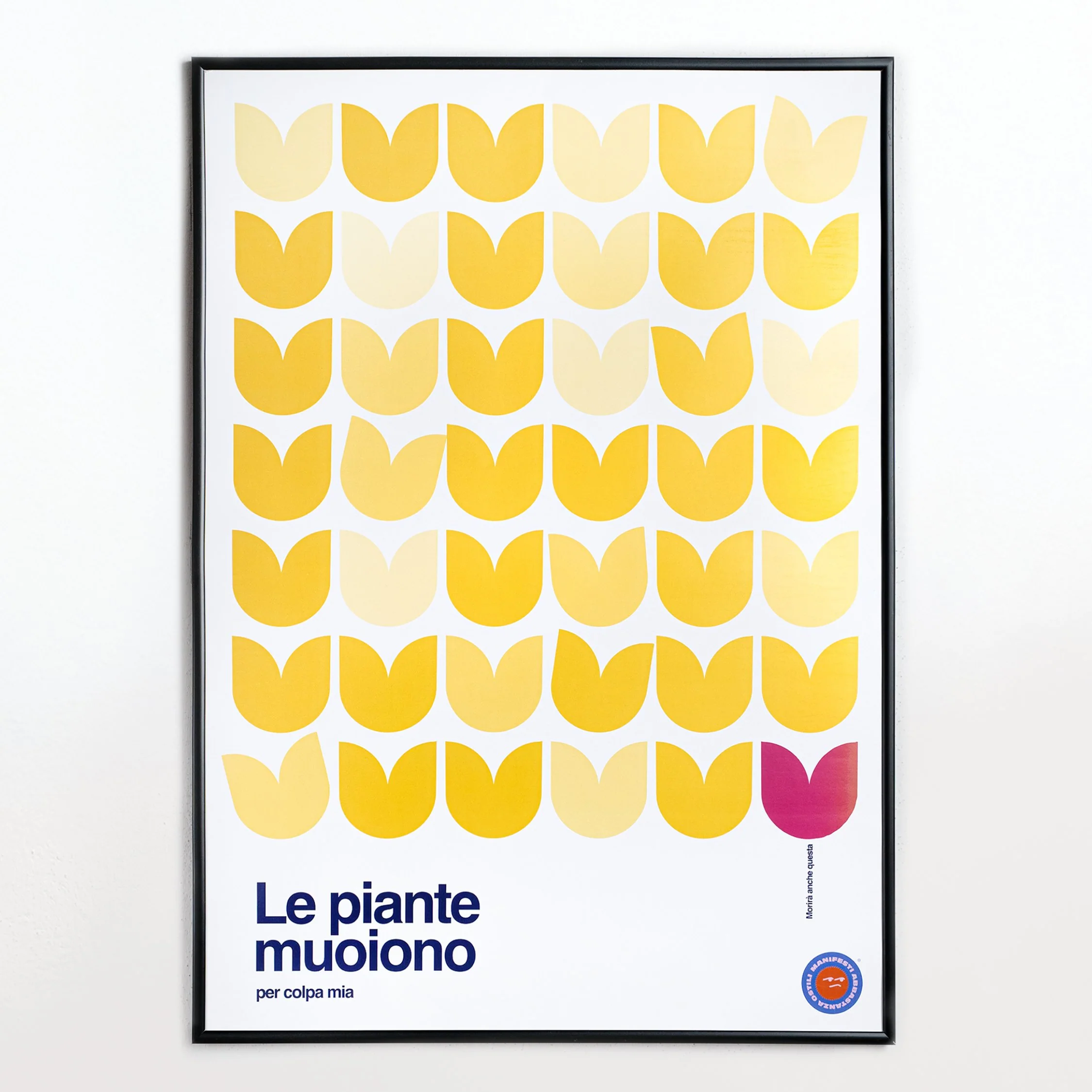 Le piante muoiono per colpa mia - Image 2