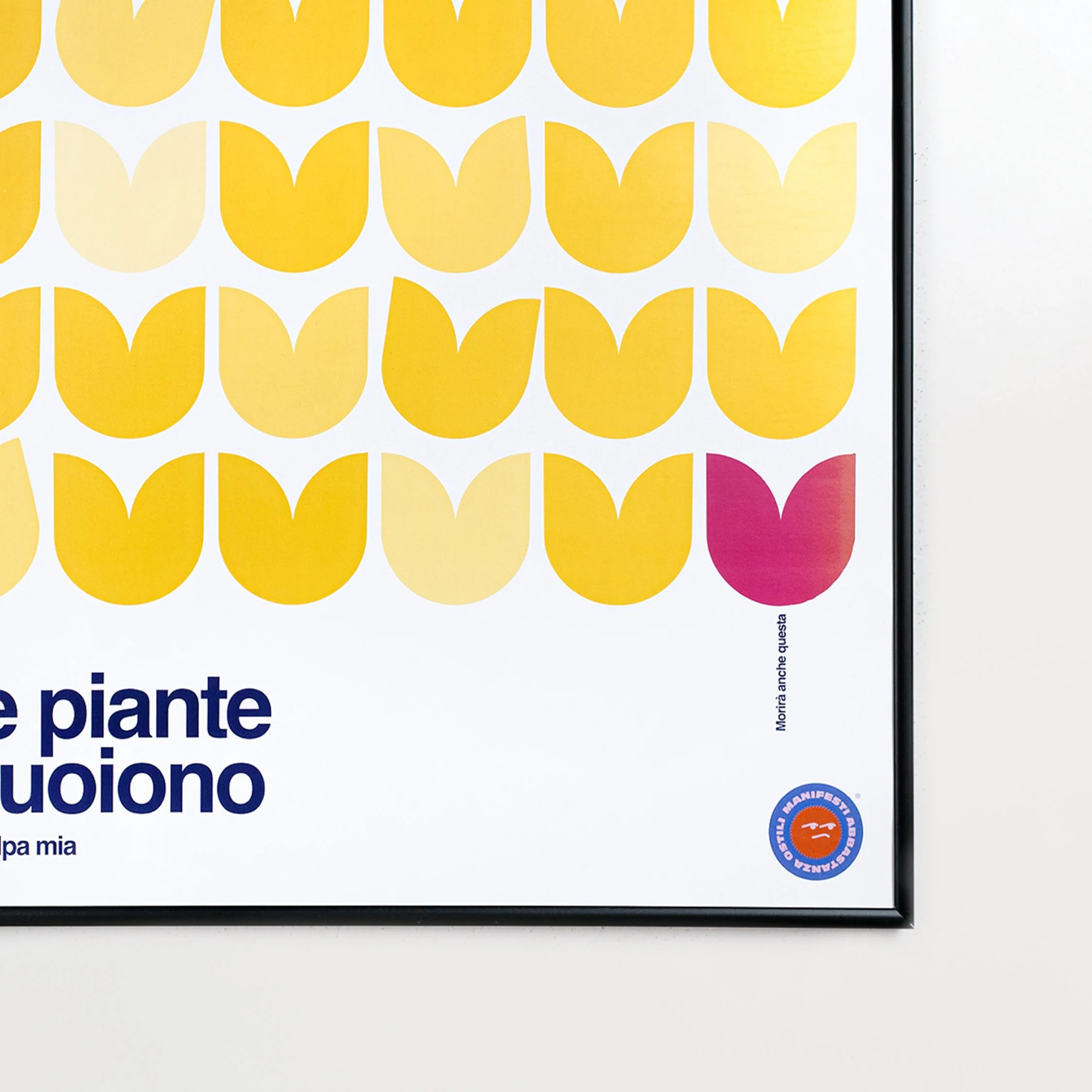 Le piante muoiono per colpa mia - Image 6